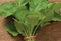Kanzira — Ethiopian Kale