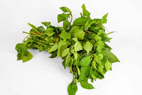 Bitter Managu — African Nightshade