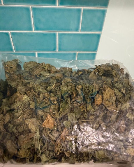 Kunde + Mrenda